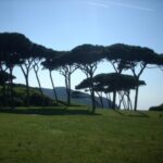 baratti