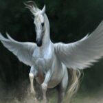 pegaso cavallo alato