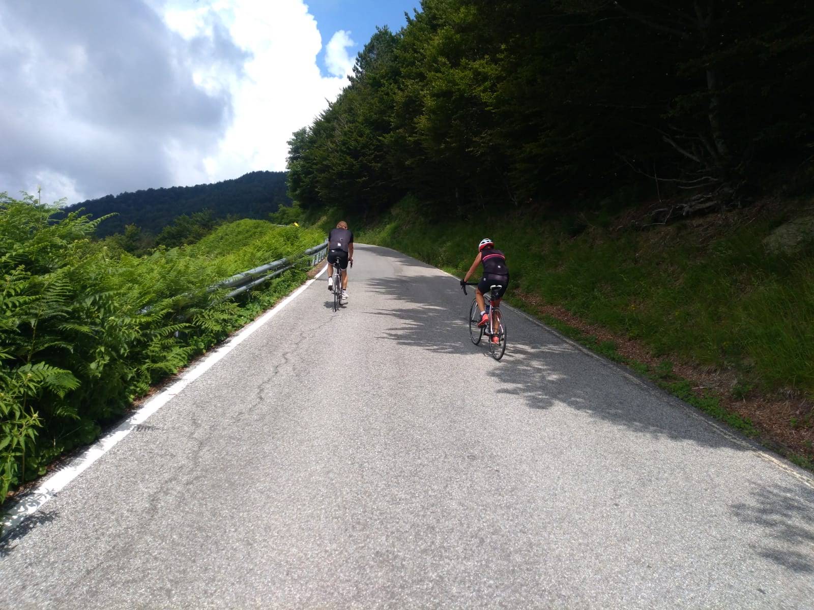 Mai di domenica - Il regno del castagno e del faggio