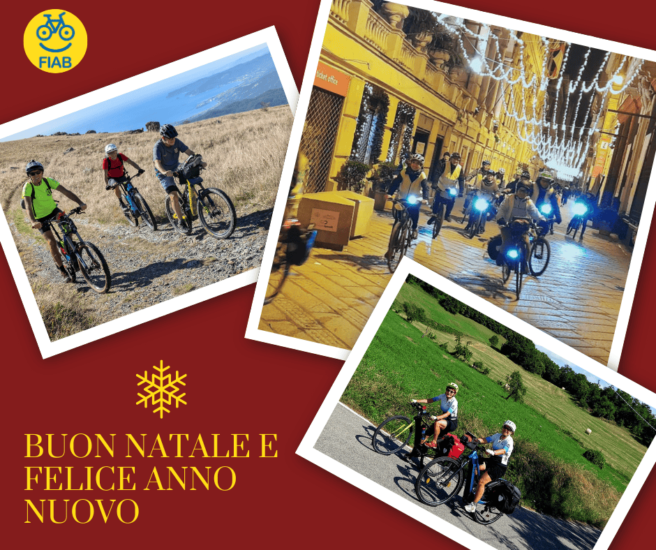 La relazione di fine anno sociale. La relazione di fine anno sociale.