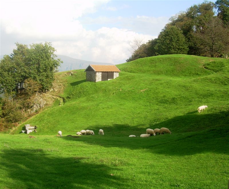 Mai di domenica: Ovada - Badia di Tiglieto - Faiallo - Voltri
