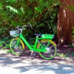 Più bici, più sicurezza? Il ruolo del bike sharing a Genova alla luce del principio “safety in numbe...