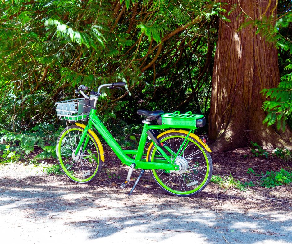 Più bici, più sicurezza? Il ruolo del bike sharing a Genova alla luce del principio “safety in numbers”
